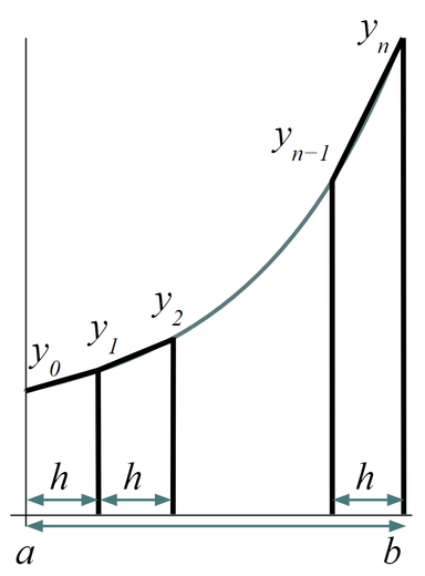 An image in a quiz