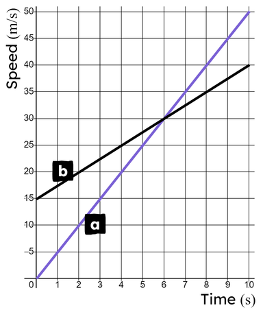 An image in a quiz
