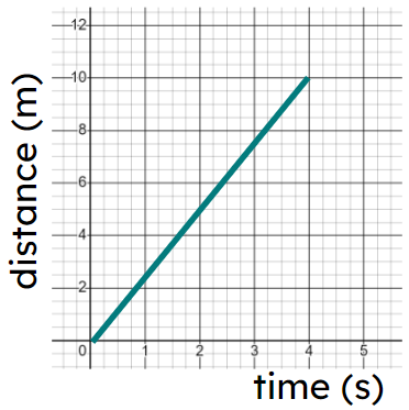 An image in a quiz