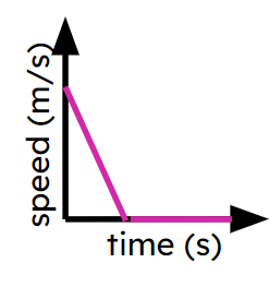 An image in a quiz