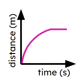 An image in a quiz