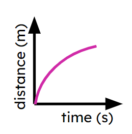 An image in a quiz