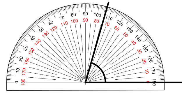 An image in a quiz