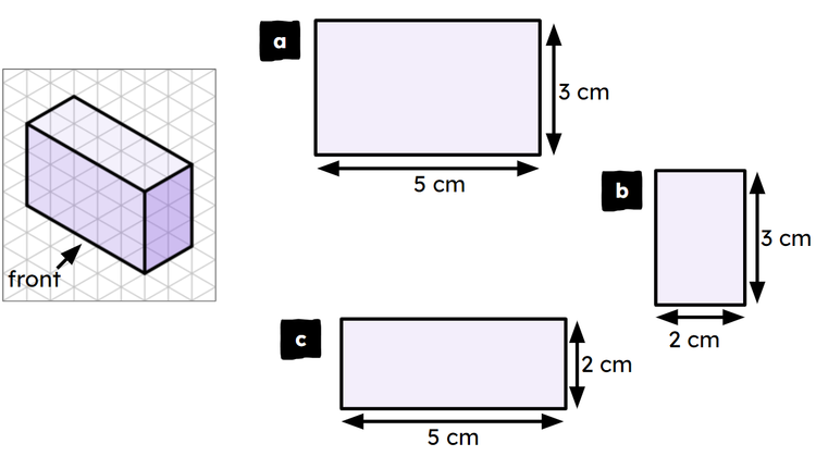 An image in a quiz