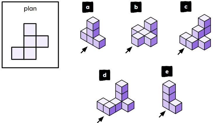 An image in a quiz