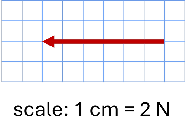 An image in a quiz