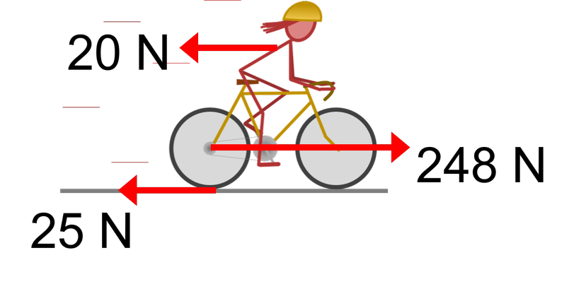 An image in a quiz
