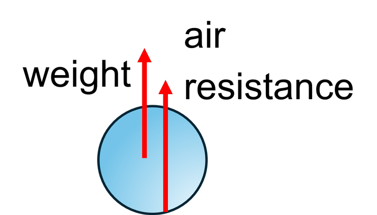 An image in a quiz