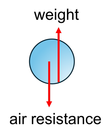 An image in a quiz