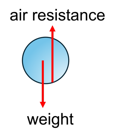 An image in a quiz