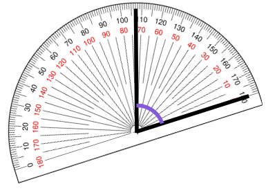 An image in a quiz