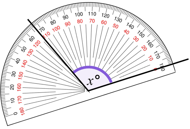 An image in a quiz
