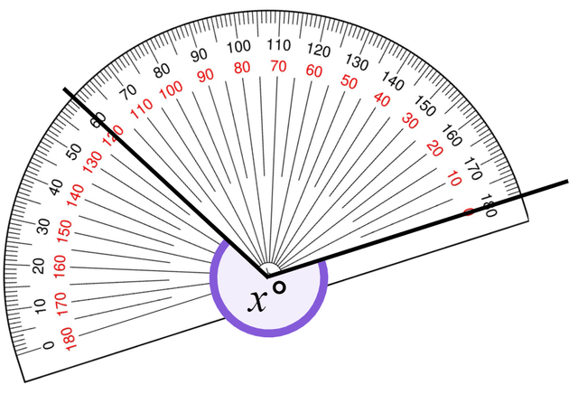 An image in a quiz