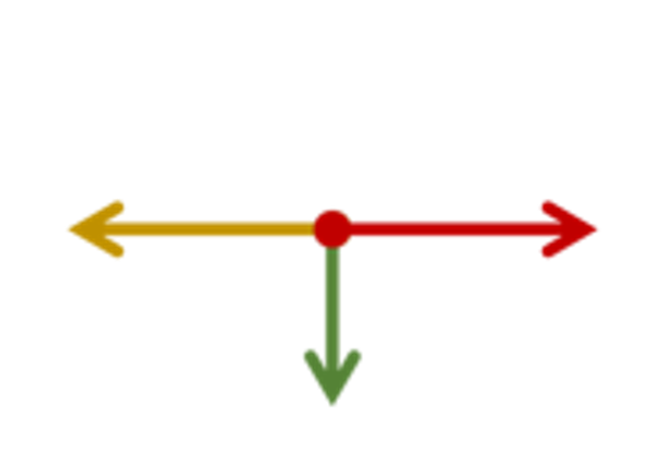 An image in a quiz