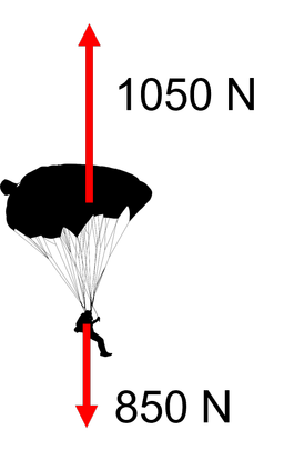 An image in a quiz