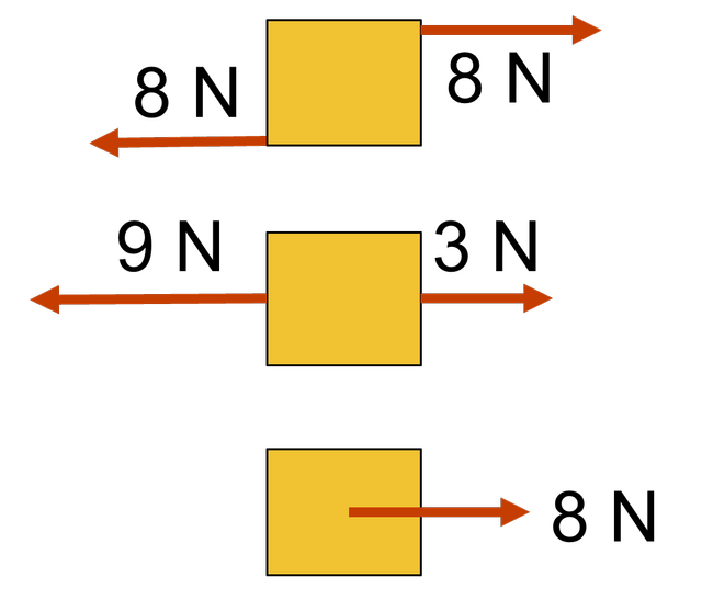 An image in a quiz
