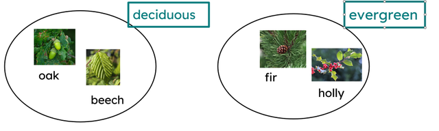 Why might a scientist use this type of diagram ?