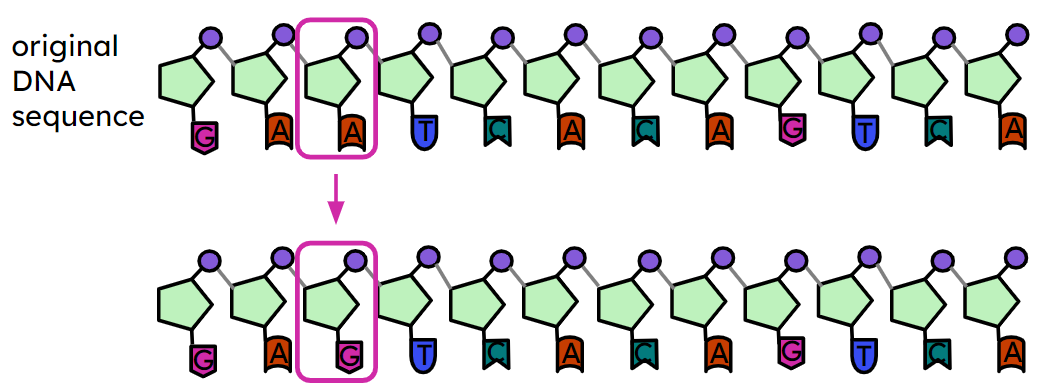 An image in a quiz