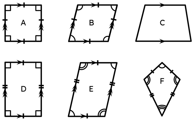 An image in a quiz