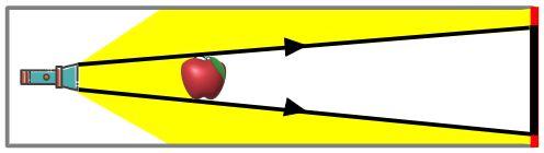 An image in a quiz