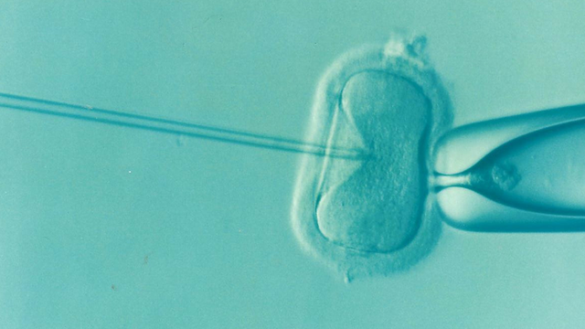 Put these stages of IVF in the right order.