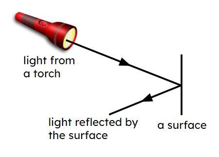 An image in a quiz