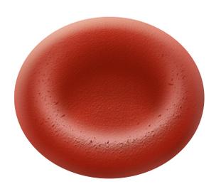 red blood cells