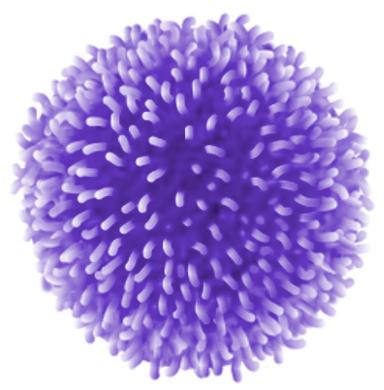 memory cell