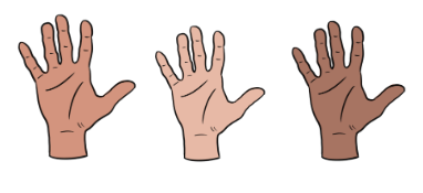 An image in a quiz
