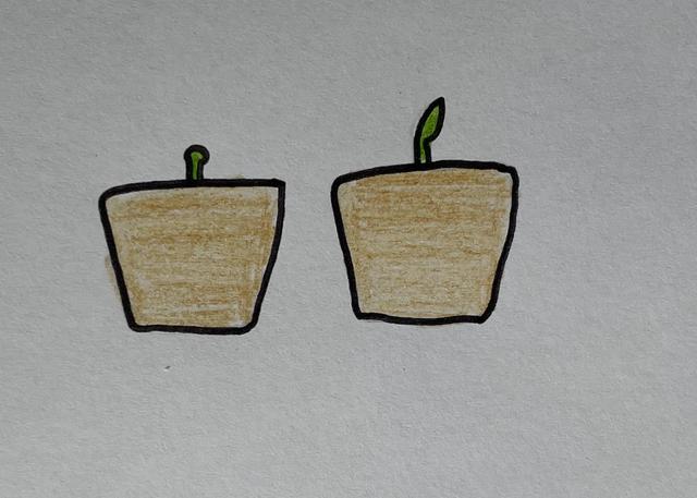 An image in a quiz
