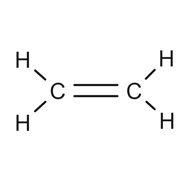 An image in a quiz