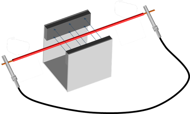 An image in a quiz