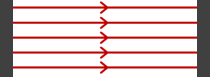 An image in a quiz
