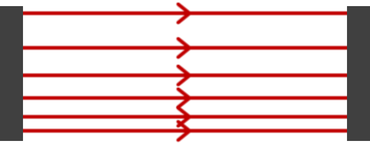 An image in a quiz