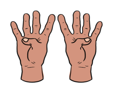 An image in a quiz