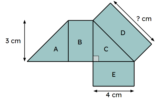 An image in a quiz
