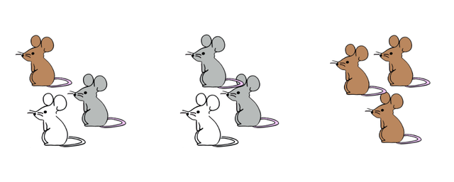 Look at the image then complete the sentence. The number of mice in each group is  __________. This means that the parts are equal.