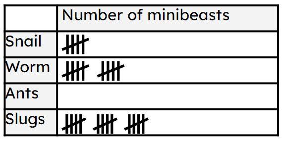 Laura sees 20 ants. How many groups of 5 will need to be drawn on the tally chart? <span class="blank">______</span> groups of 5