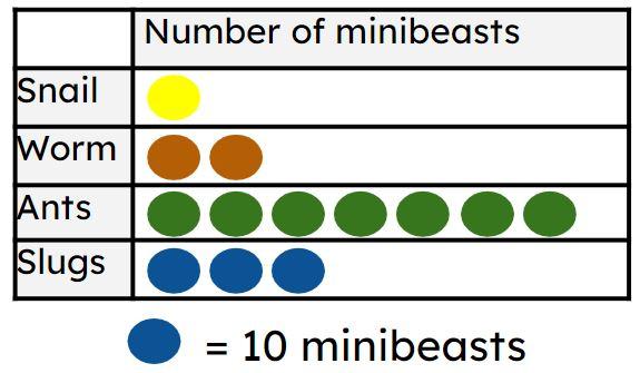 Look at the pictogram. How many slugs did Aisha see?