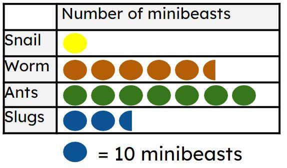 Aisha has recorded the amount of minibeasts she saw in her back garden. Aisha saw <span class="blank">______</span> slugs.