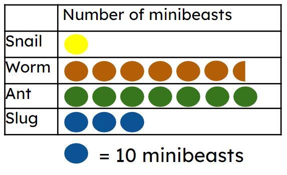 Aisha has recorded the amount of minibeasts she saw in her back garden in this pictogram. Aisha saw <span class="blank">______</span> worms.