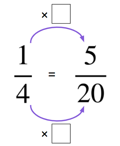 An image in a quiz