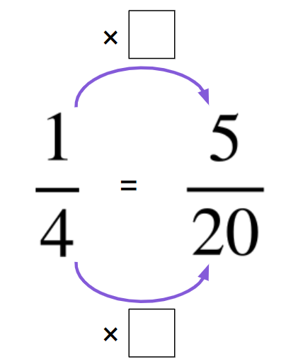 What number have the numerator and denominator been multiplied by to create a related fraction? <span class="blank">______</span>