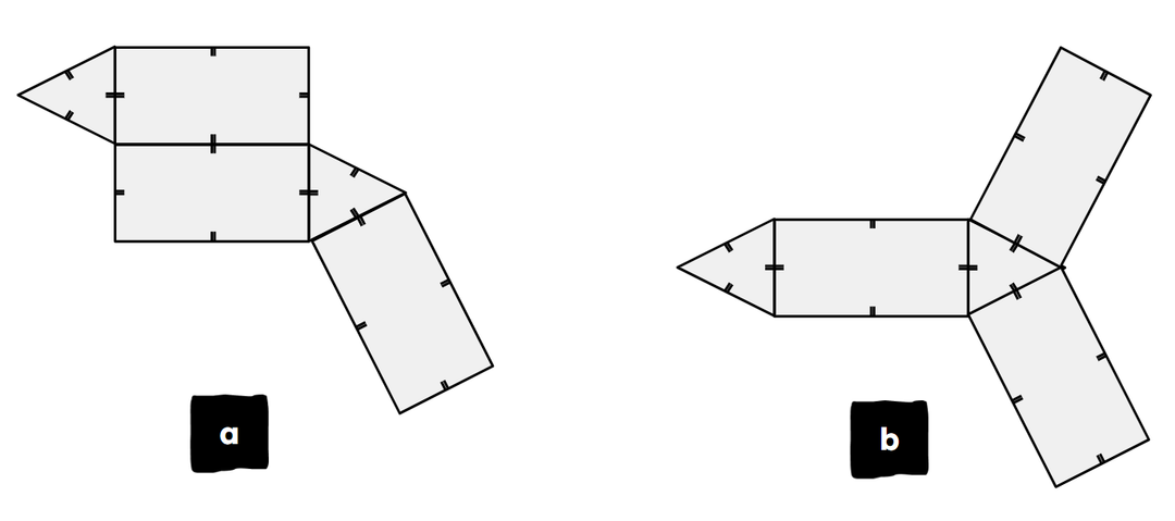 An image in a quiz