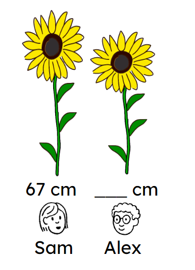 Alex’s sunflower is 5 cm shorter than Sam’s. What strategy can Alex use to find how tall his sunflower is?