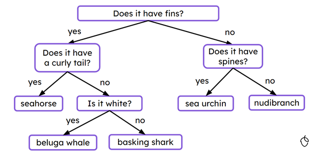 What do we call a series of questions used to help identify organisms?