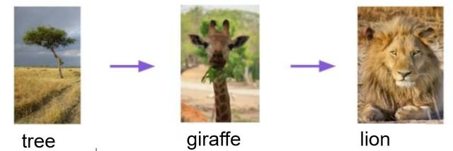 Which living thing is the producer in this food chain? Tree → giraffe → lion.
