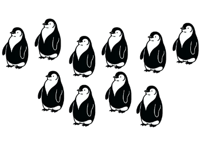 An image in a quiz