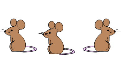An image in a quiz