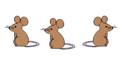 An image in a quiz